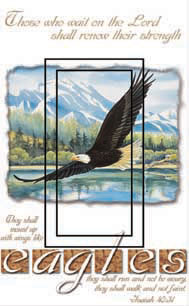 Isaiah 40:31 Single Rocker SwitchStix Peel and Stick Switch Plate Cover Décor