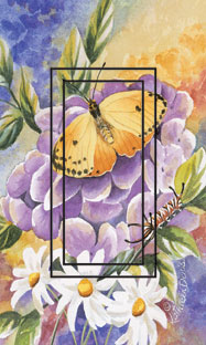 Flutterbye Single Rocker SwitchStix Peel and Stick Switch Plate Cover Décor